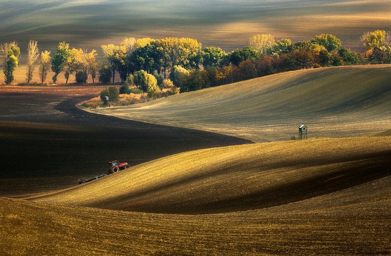 FIAP HONOR - autumn fields - BROWKO KRZYSZTOF - poland.jpg